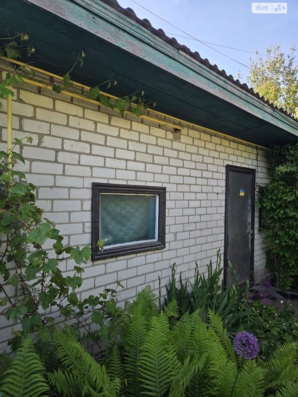 одноповерховий будинок з гаражем, 58 кв. м, цегла. Продаж в Бахмачі, район Бахмач фото 1 одноповерховий будинок з гаражем, 58 кв. м, цегла. Продаж в Бахмачі, район Бахмач фото 1