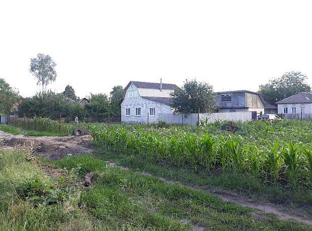 одноэтажный дом с верандой, 88 кв. м, кирпич. Продажа в Бахмаче район Бахмач фото 1 одноэтажный дом с верандой, 88 кв. м, кирпич. Продажа в Бахмаче район Бахмач фото 1