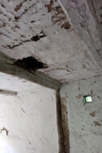 одноповерховий будинок, 50 кв. м, глинобитний. Продаж у Бахмачі селі фото 2