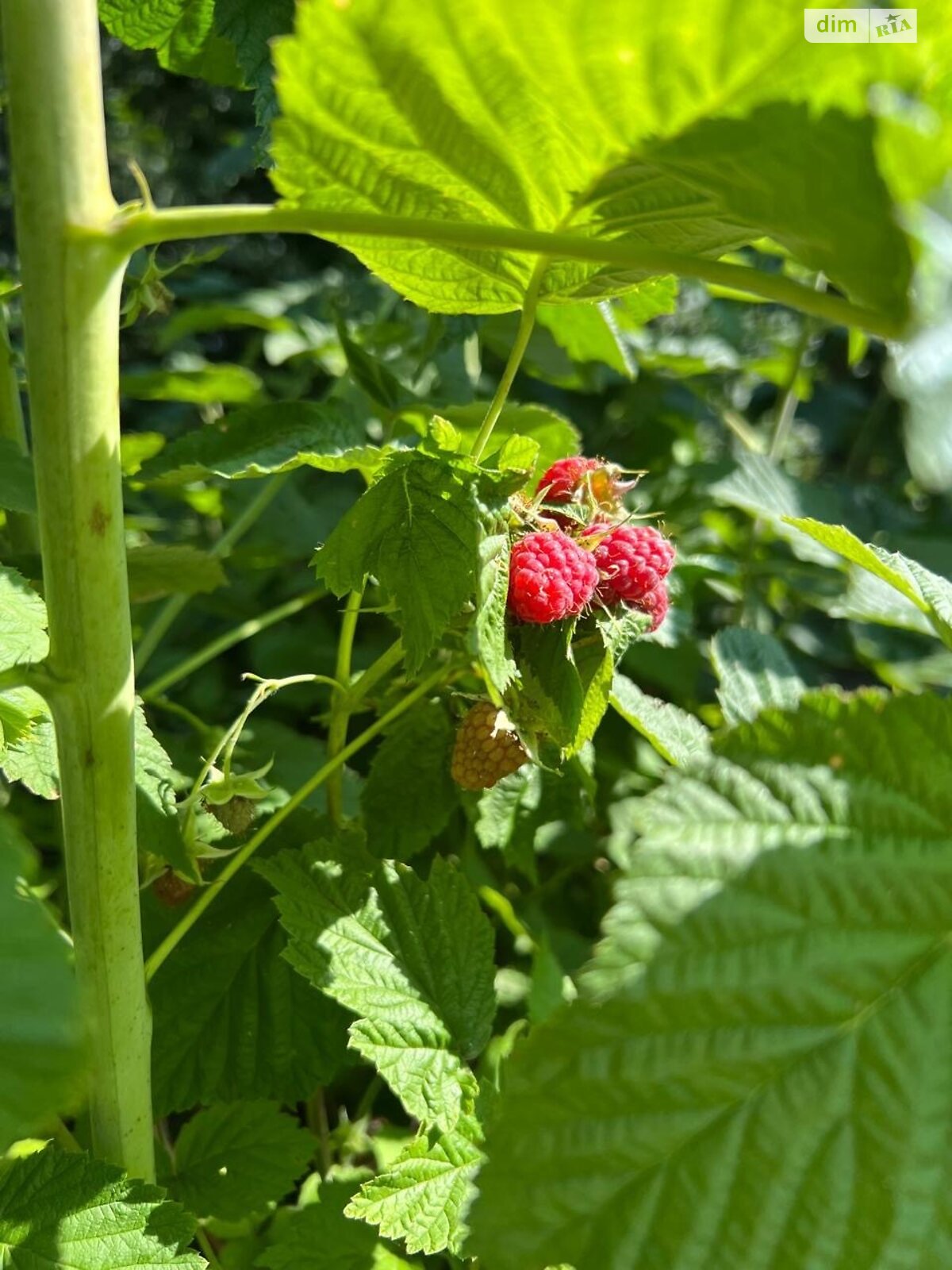 двухэтажный дом с отоплением, 134 кв. м, кирпич. Продажа в Бахматовцах фото 1