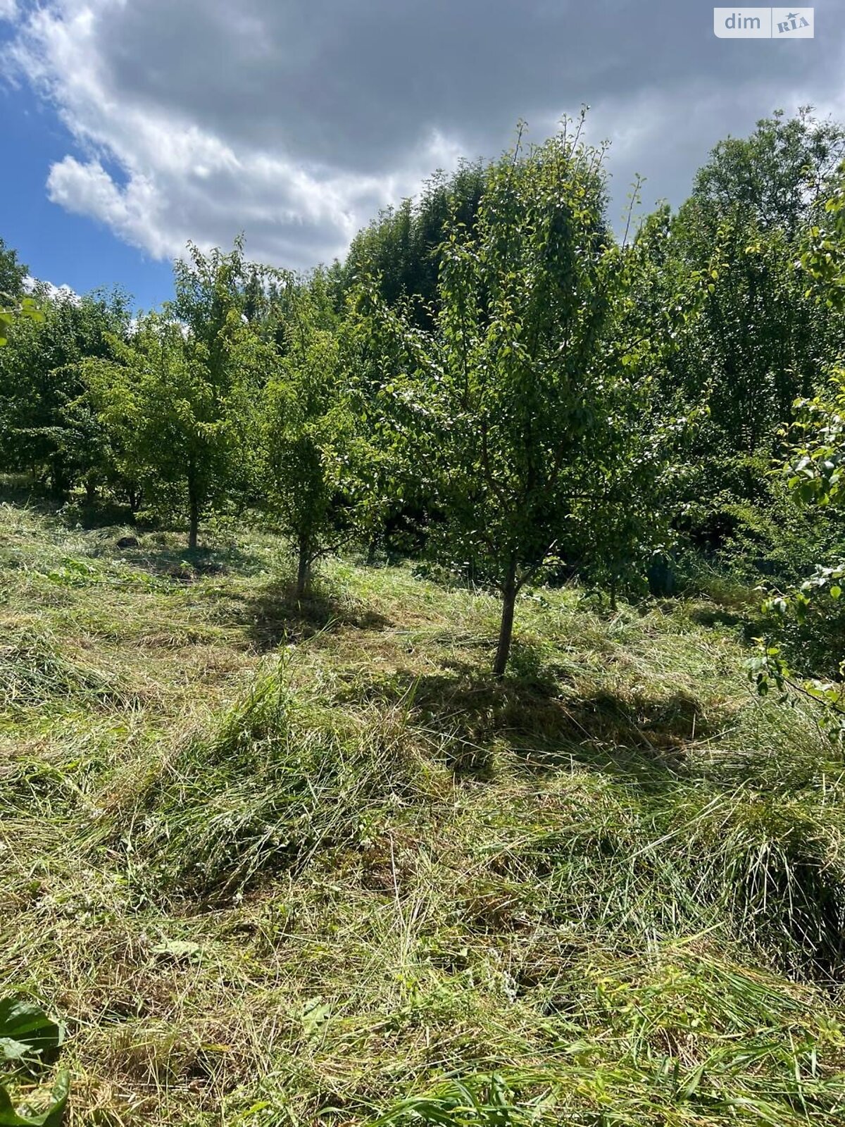 двухэтажный дом с отоплением, 134 кв. м, кирпич. Продажа в Бахматовцах фото 1