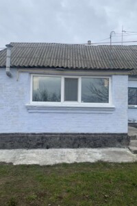 одноповерховий будинок з гаражем, 68 кв. м, цегла. Продаж у Бакали фото 2 одноповерховий будинок з гаражем, 68 кв. м, цегла. Продаж у Бакали фото 2