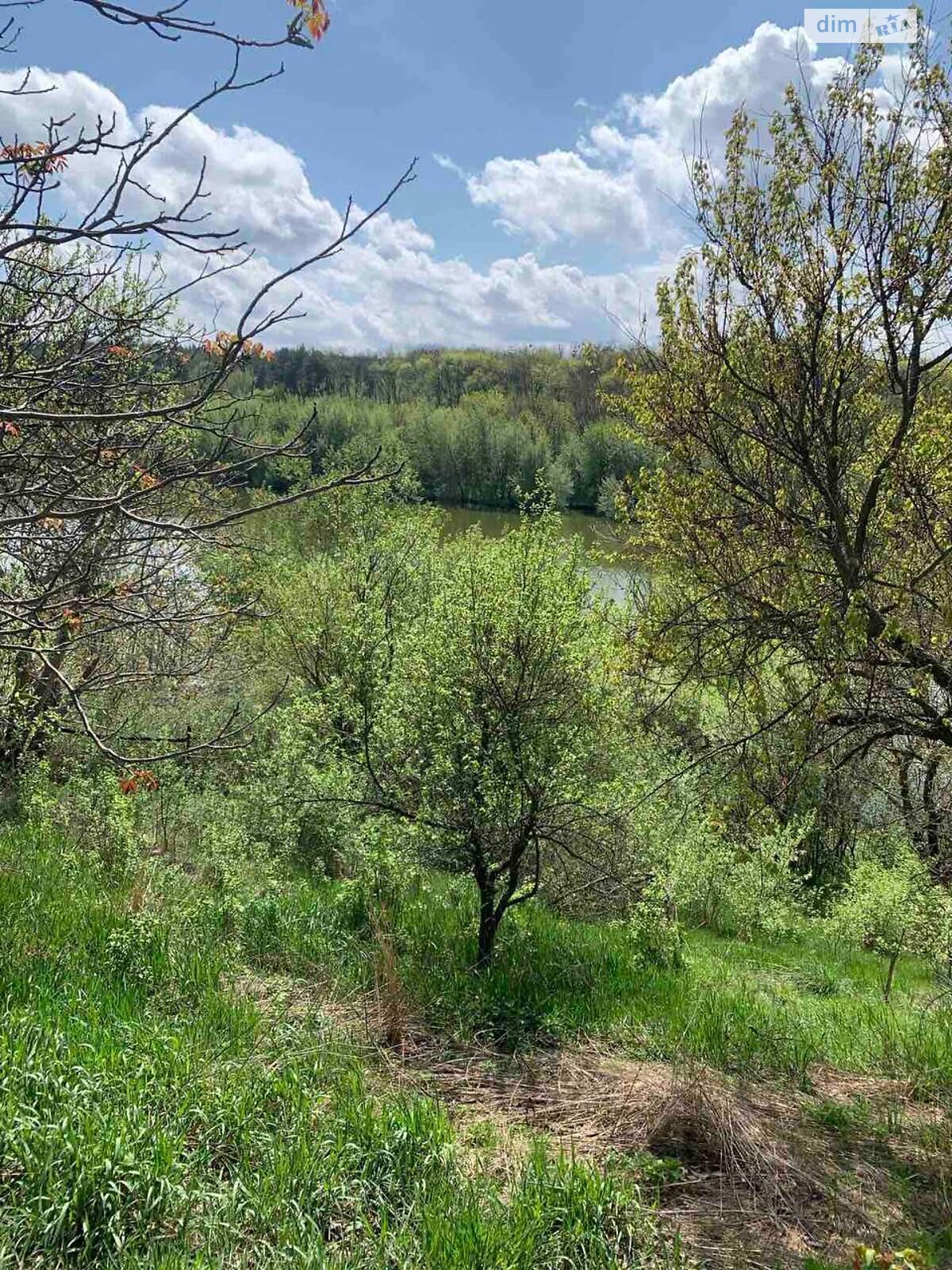 одноповерховий будинок з гаражем, 68 кв. м, цегла. Продаж у Бакали фото 1 одноповерховий будинок з гаражем, 68 кв. м, цегла. Продаж у Бакали фото 1