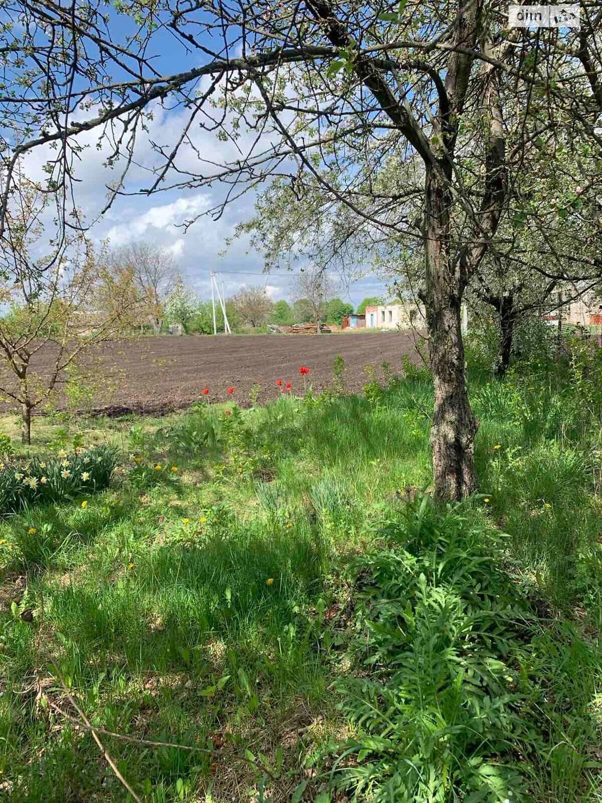одноповерховий будинок з гаражем, 68 кв. м, цегла. Продаж у Бакали фото 1 одноповерховий будинок з гаражем, 68 кв. м, цегла. Продаж у Бакали фото 1