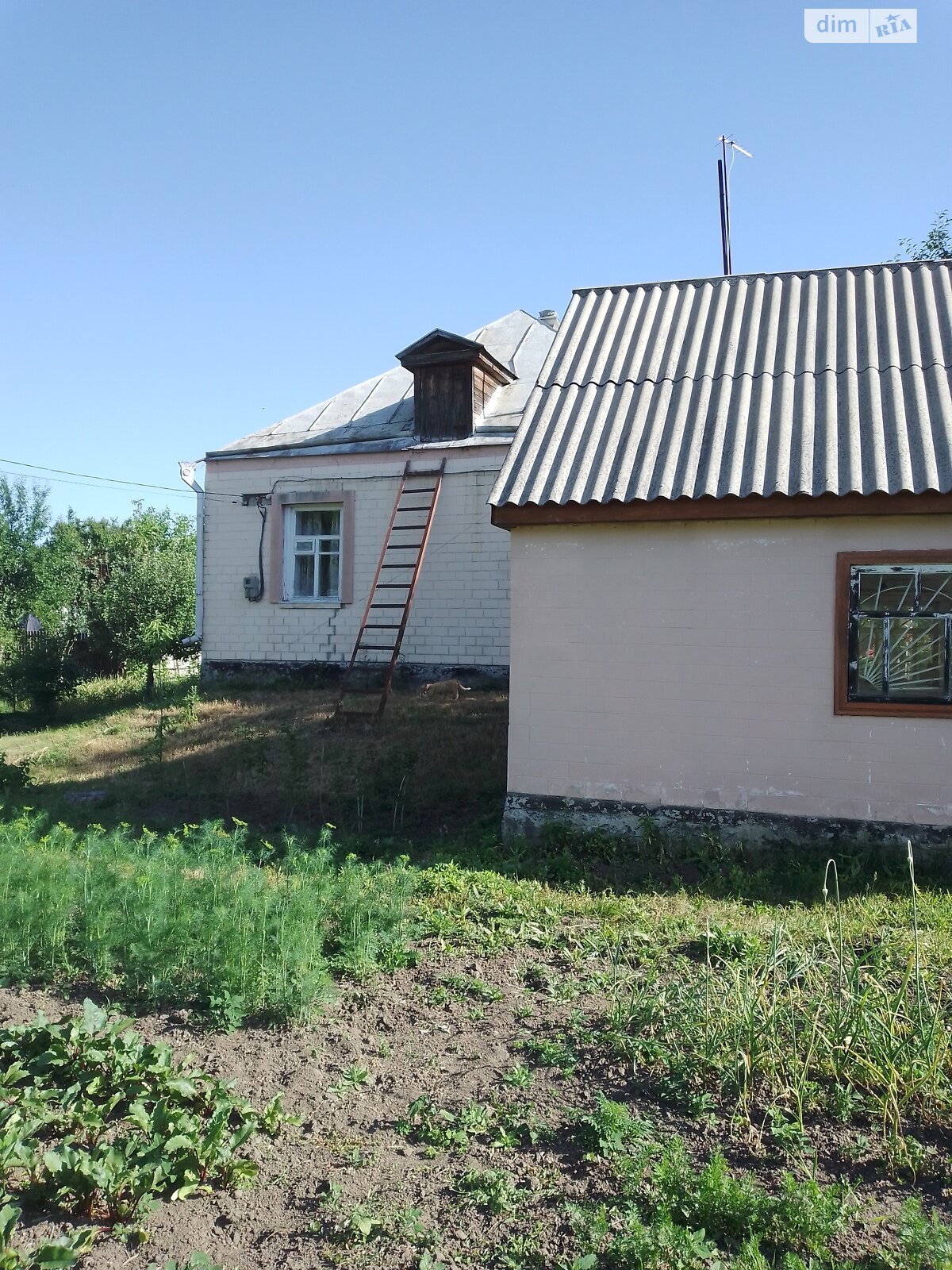 одноэтажный дом, 70 кв. м, кирпич. Продажа в Балаклее фото 1 одноэтажный дом, 70 кв. м, кирпич. Продажа в Балаклее фото 1