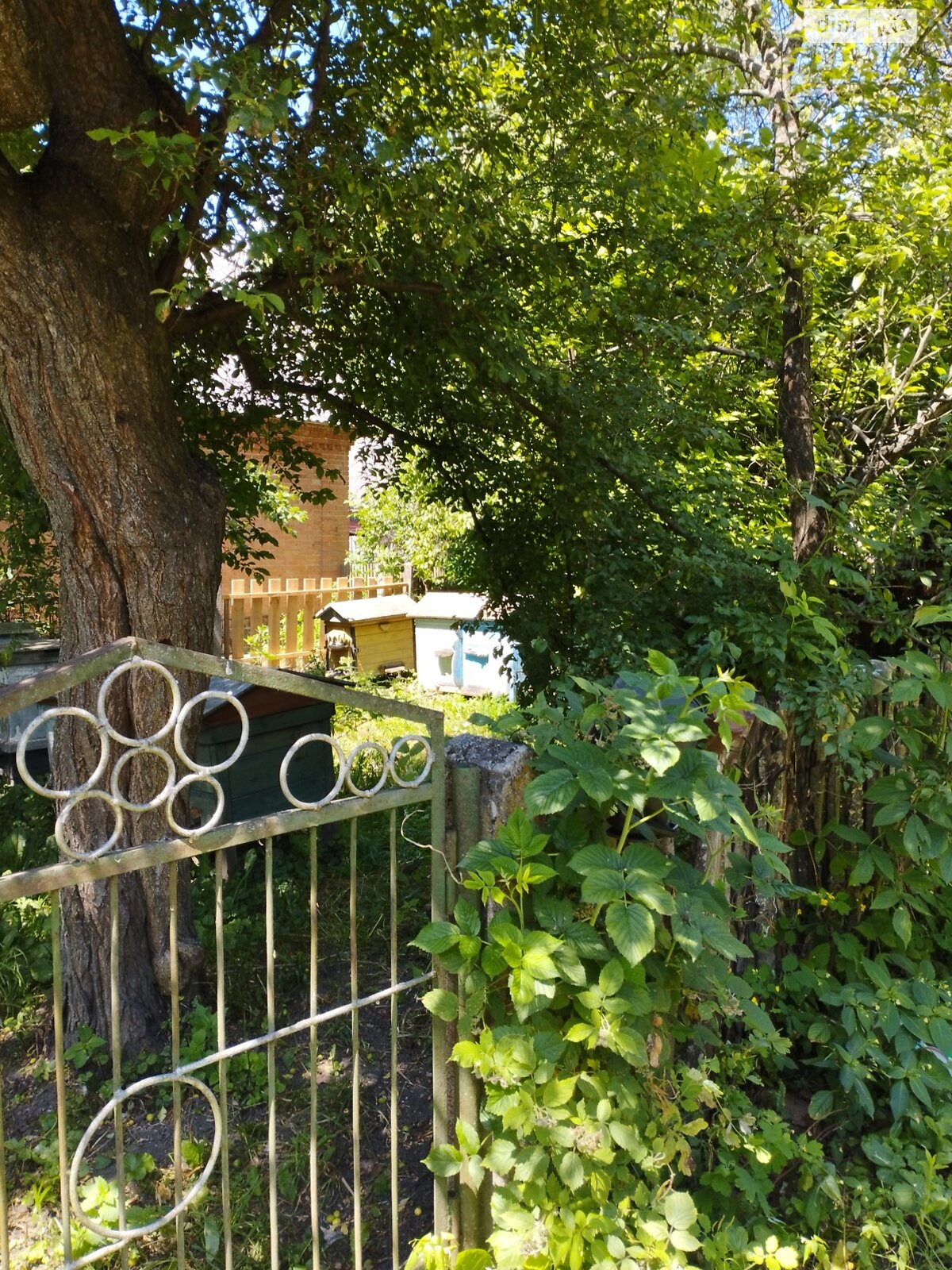 одноповерховий будинок, 56.3 кв. м, глинобитний. Продаж у Баламутівці фото 1