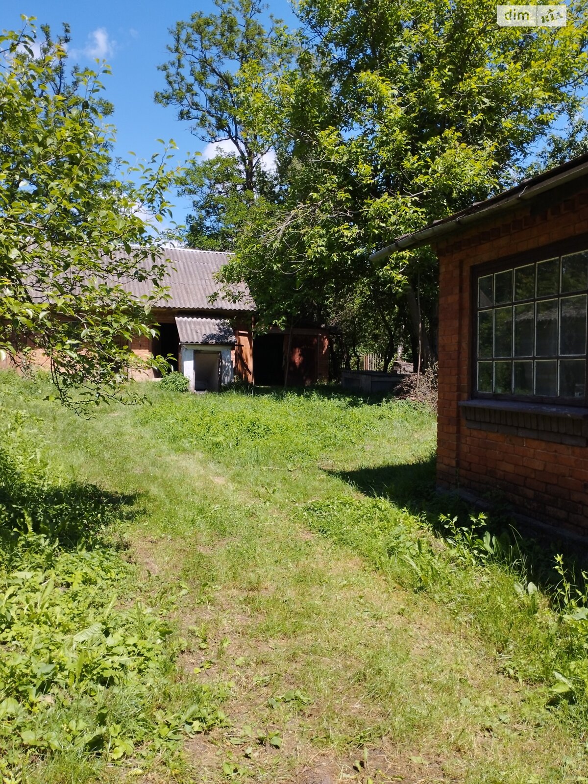 одноповерховий будинок, 56.3 кв. м, глинобитний. Продаж у Баламутівці фото 1