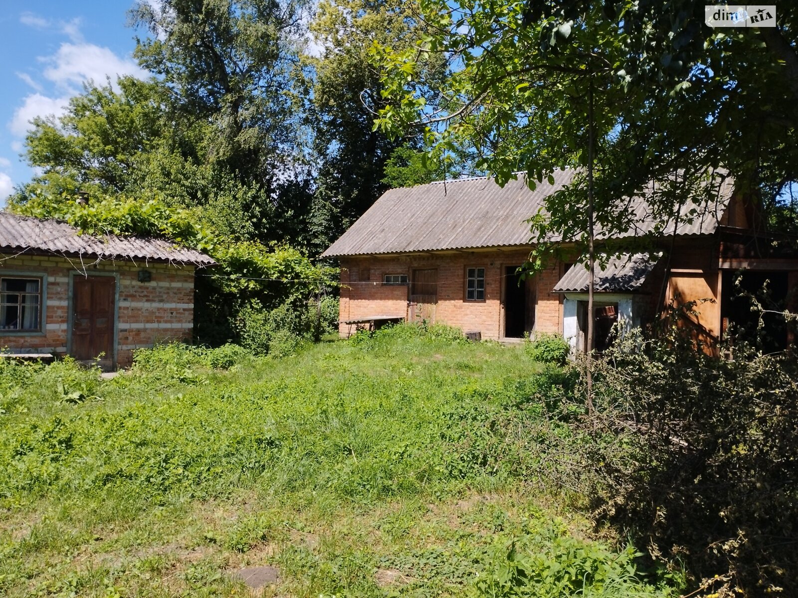 одноповерховий будинок, 56.3 кв. м, глинобитний. Продаж у Баламутівці фото 1