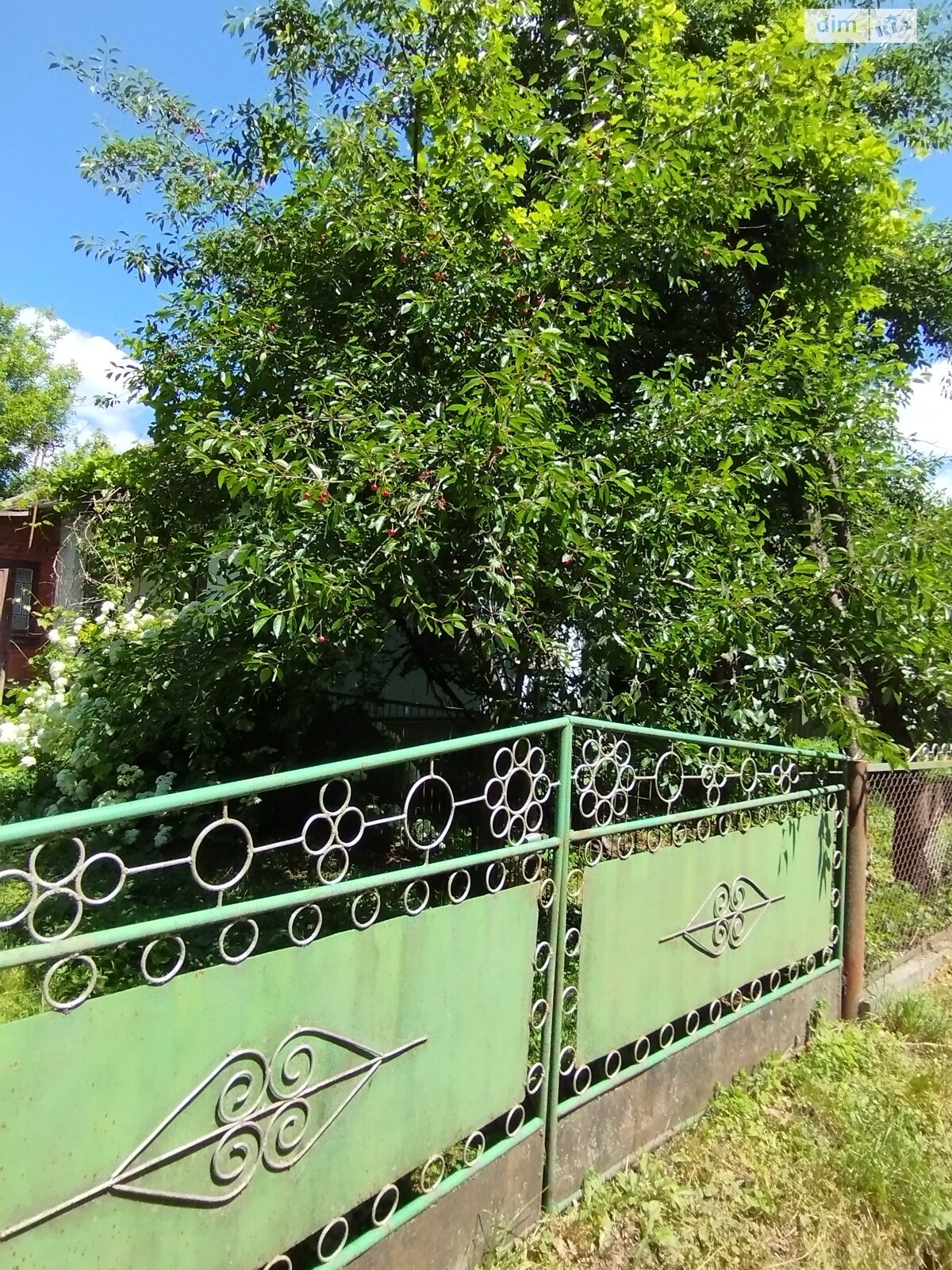 одноповерховий будинок, 56.3 кв. м, глинобитний. Продаж у Баламутівці фото 1