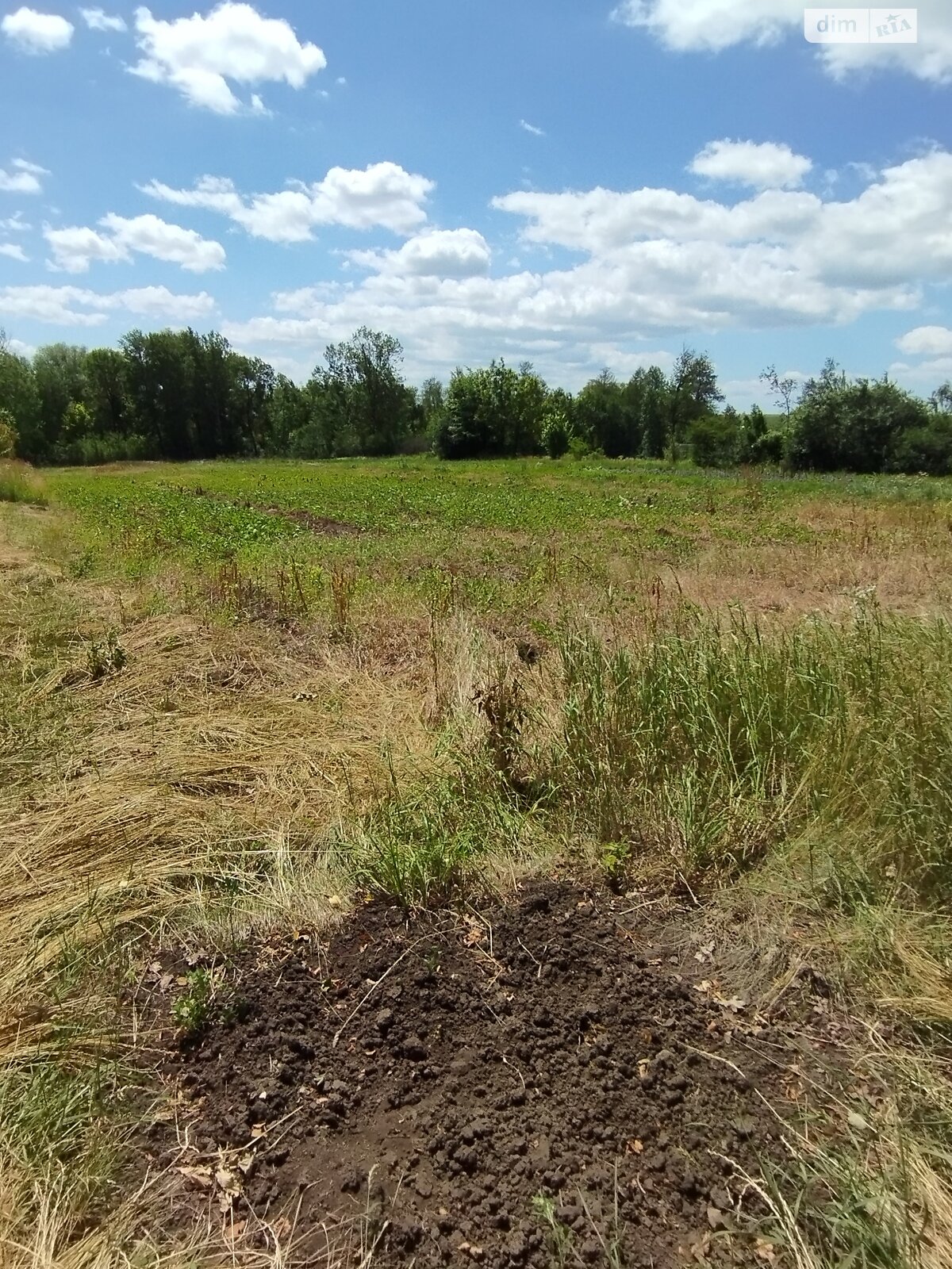 одноповерховий будинок, 56.3 кв. м, глинобитний. Продаж у Баламутівці фото 1