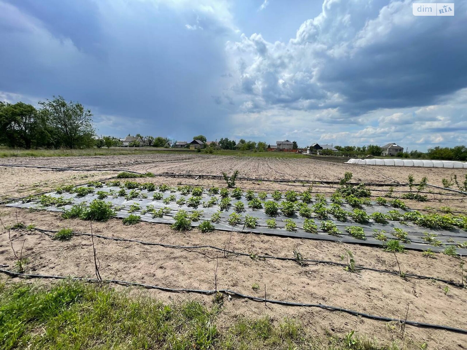 двоповерховий будинок з гаражем, 236.2 кв. м, цегла. Продаж у Балівці фото 1 двоповерховий будинок з гаражем, 236.2 кв. м, цегла. Продаж у Балівці фото 1