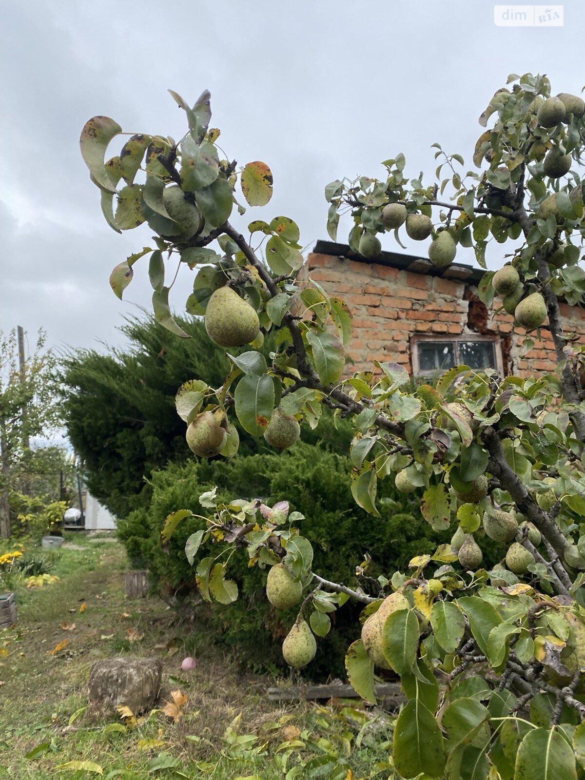 одноэтажный дом с отоплением, 54.8 кв. м, кирпич. Продажа в Баре район Бар фото 1