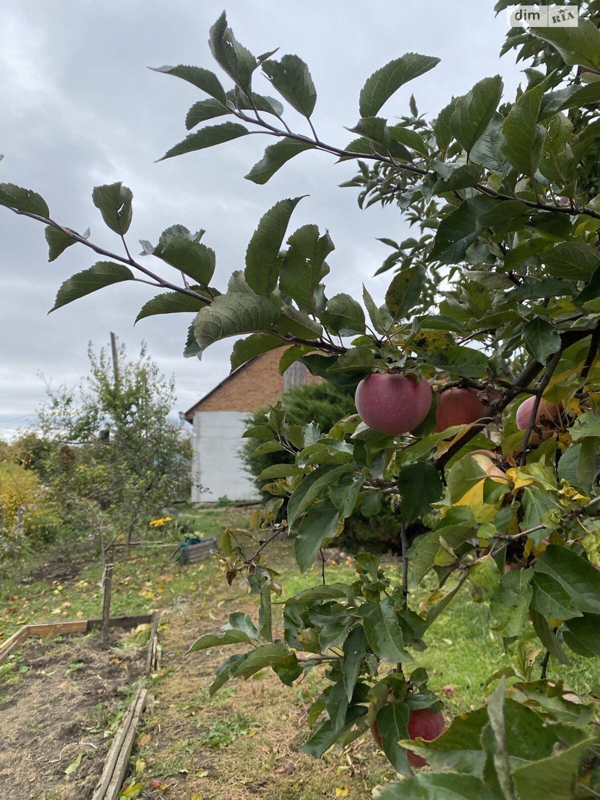 одноэтажный дом с отоплением, 54.8 кв. м, кирпич. Продажа в Баре район Бар фото 1