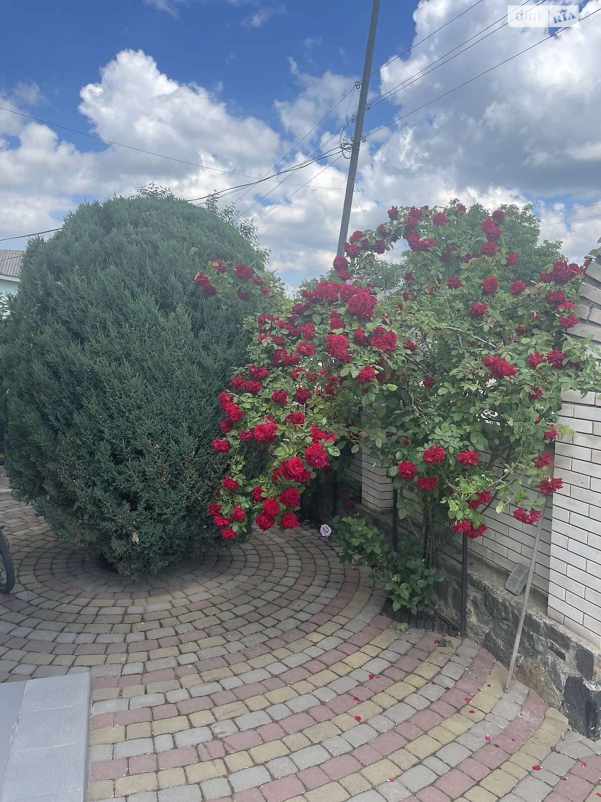 двоповерховий будинок з гаражем, 130 кв. м, цегла. Продаж у Барі фото 1 двоповерховий будинок з гаражем, 130 кв. м, цегла. Продаж у Барі фото 1