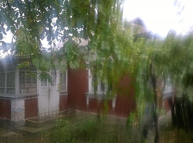 одноэтажный дом с садом, 110 кв. м, кирпич. Продажа в Ялтушкове (Винницкая обл.) фото 1 одноэтажный дом с садом, 110 кв. м, кирпич. Продажа в Ялтушкове (Винницкая обл.) фото 1