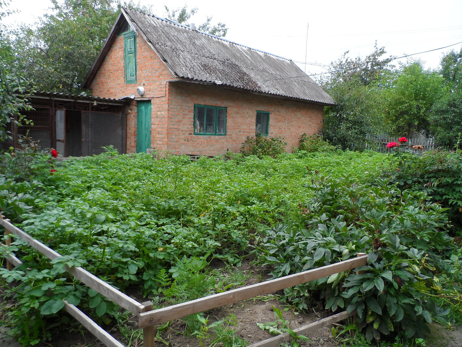 одноповерховий будинок, 202 кв. м, цегла силікатна. Продаж в Барі, район Заводський фото 1