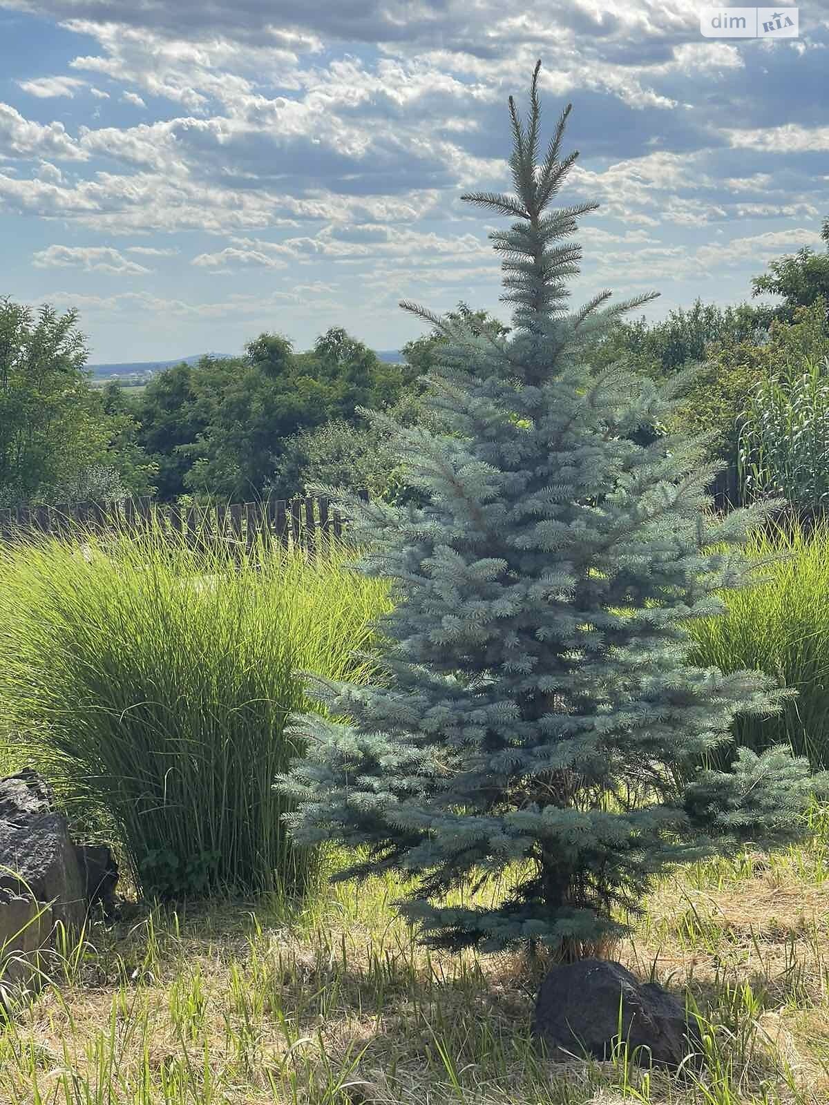 двоповерховий будинок з балконом, 250 кв. м, цегла. Продаж у Барвінку фото 1 двоповерховий будинок з балконом, 250 кв. м, цегла. Продаж у Барвінку фото 1