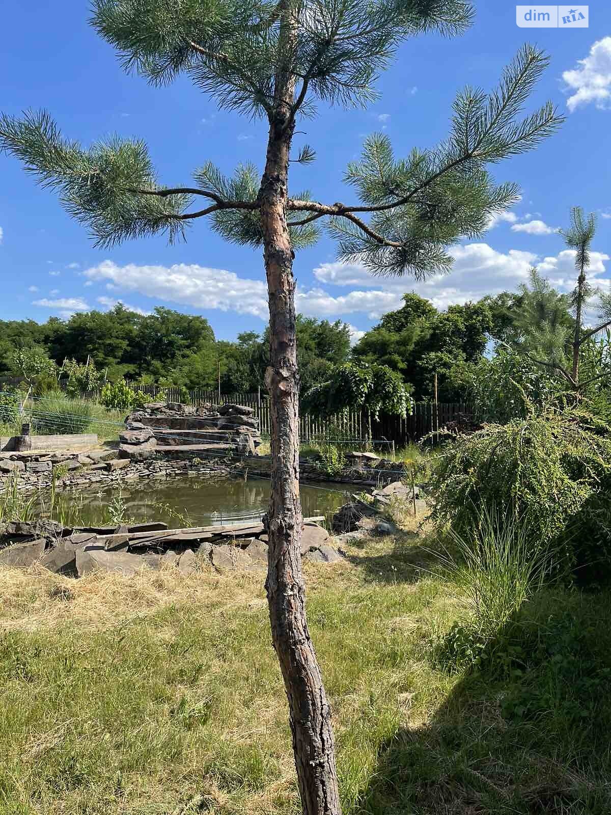 двоповерховий будинок з балконом, 250 кв. м, цегла. Продаж у Барвінку фото 1 двоповерховий будинок з балконом, 250 кв. м, цегла. Продаж у Барвінку фото 1