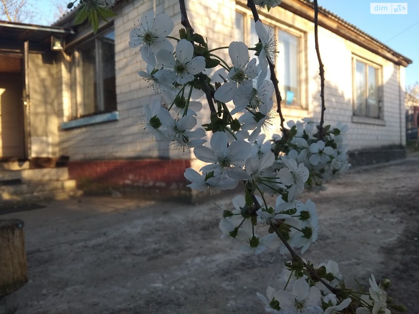 одноэтажный дом с верандой, 101 кв. м, кирпич. Продажа в Барышевке район Барышевка фото 1 одноэтажный дом с верандой, 101 кв. м, кирпич. Продажа в Барышевке район Барышевка фото 1