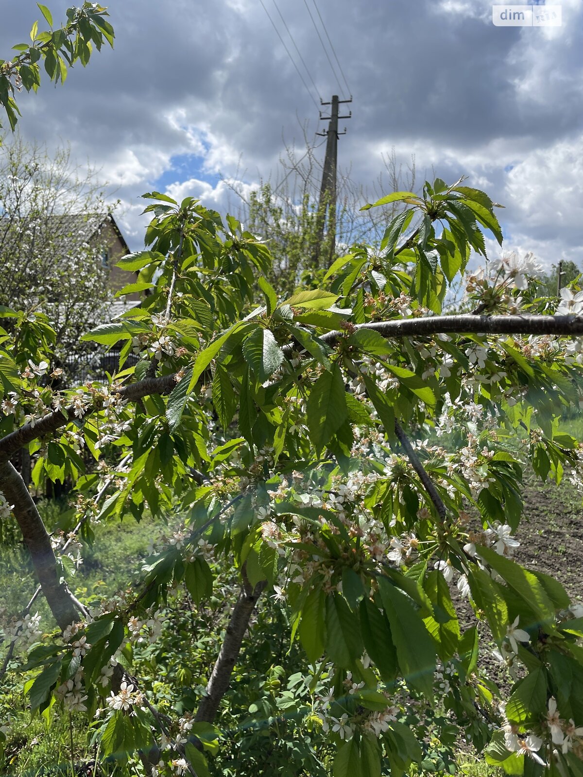 двоповерховий будинок з верандою, 100 кв. м, цегла. Продаж у Баришівці фото 1 двоповерховий будинок з верандою, 100 кв. м, цегла. Продаж у Баришівці фото 1