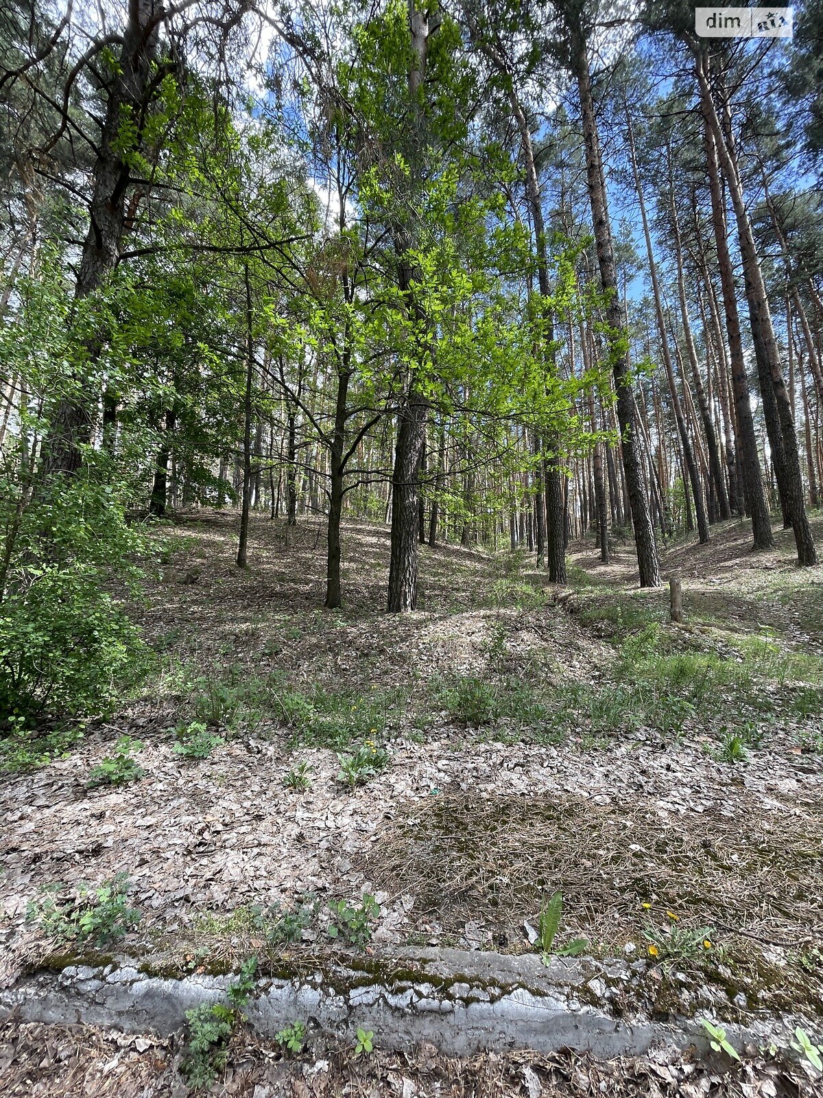двоповерховий будинок з верандою, 100 кв. м, цегла. Продаж у Баришівці фото 1 двоповерховий будинок з верандою, 100 кв. м, цегла. Продаж у Баришівці фото 1