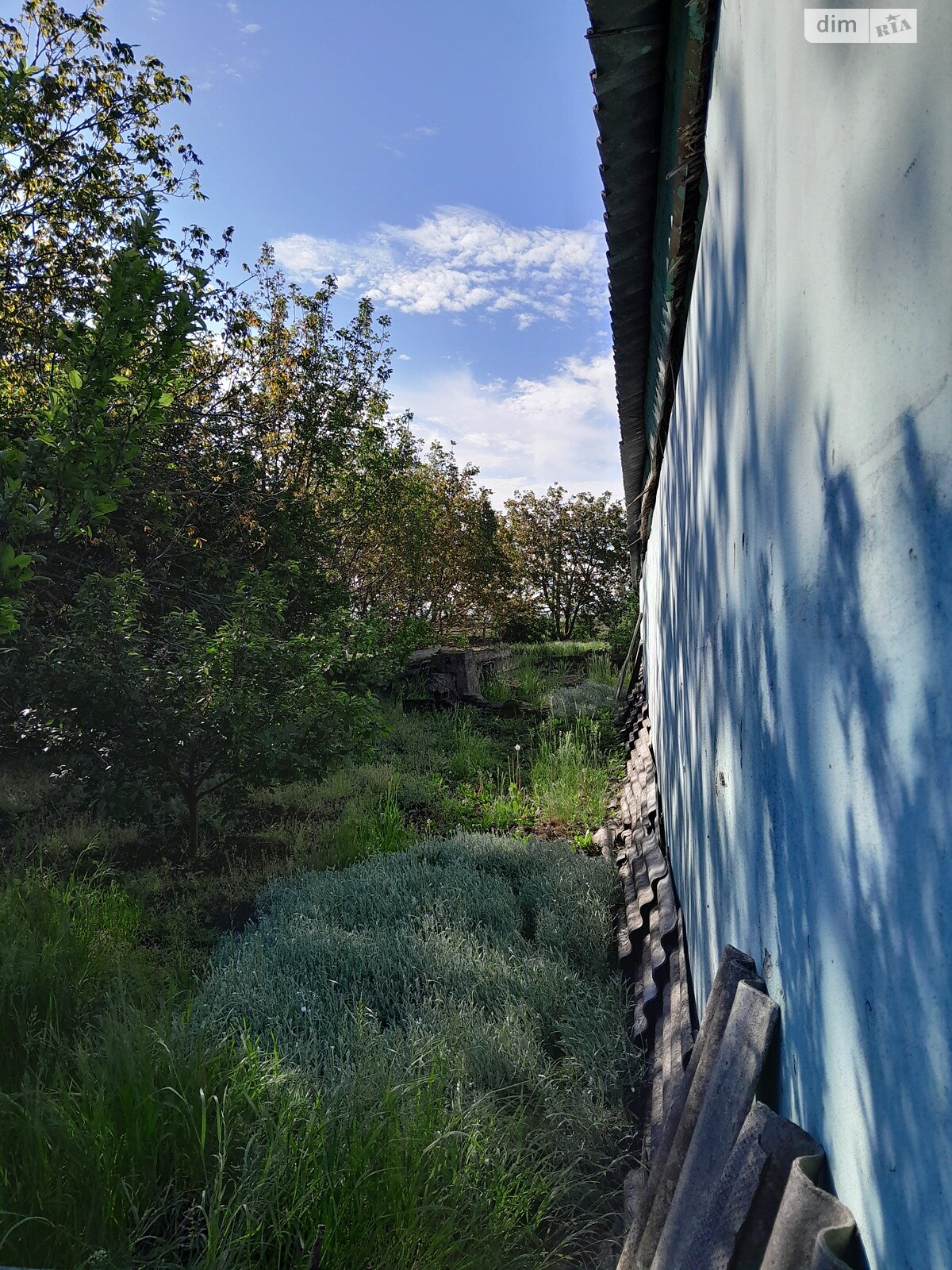 одноповерховий будинок, 160 кв. м, піноблок. Продаж в Баштанці, район Баштанка фото 1 одноповерховий будинок, 160 кв. м, піноблок. Продаж в Баштанці, район Баштанка фото 1