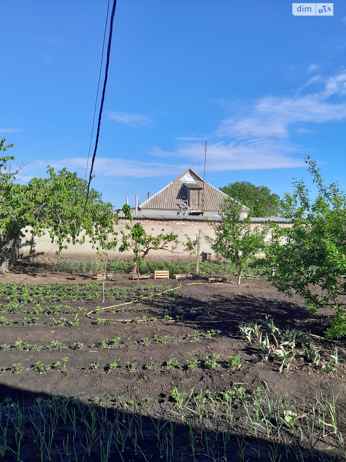 одноповерховий будинок, 160 кв. м, піноблок. Продаж в Баштанці, район Баштанка фото 1 одноповерховий будинок, 160 кв. м, піноблок. Продаж в Баштанці, район Баштанка фото 1