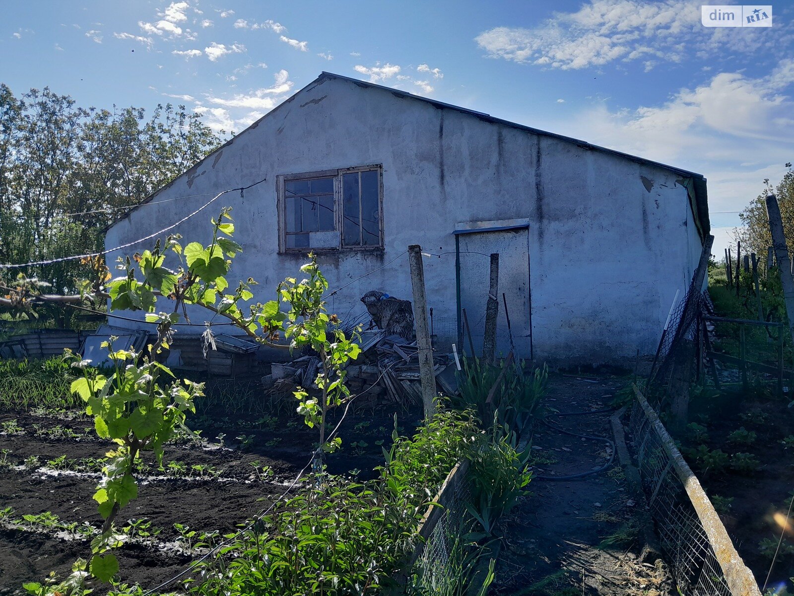одноповерховий будинок, 160 кв. м, піноблок. Продаж в Баштанці, район Баштанка фото 1 одноповерховий будинок, 160 кв. м, піноблок. Продаж в Баштанці, район Баштанка фото 1