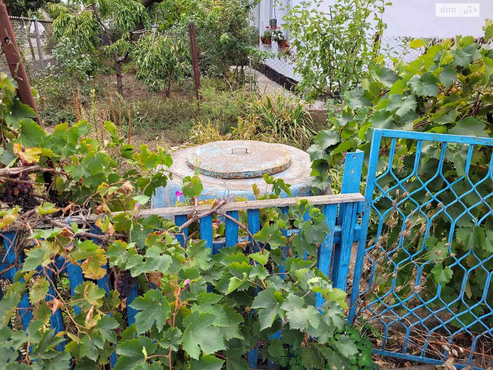 одноэтажный дом с верандой, 77.1 кв. м, кирпич. Продажа в Баштанке район Баштанка фото 1 одноэтажный дом с верандой, 77.1 кв. м, кирпич. Продажа в Баштанке район Баштанка фото 1