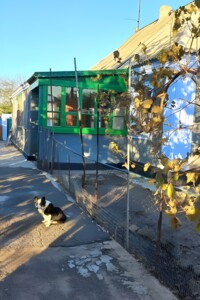 одноэтажный дом с гаражом, 100 кв. м, кирпич. Продажа в Баштанке фото 2