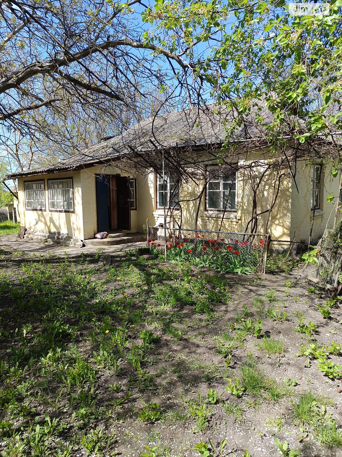 одноповерховий будинок з гаражем, 61.3 кв. м, цегла. Продаж у Баштечки фото 1 одноповерховий будинок з гаражем, 61.3 кв. м, цегла. Продаж у Баштечки фото 1