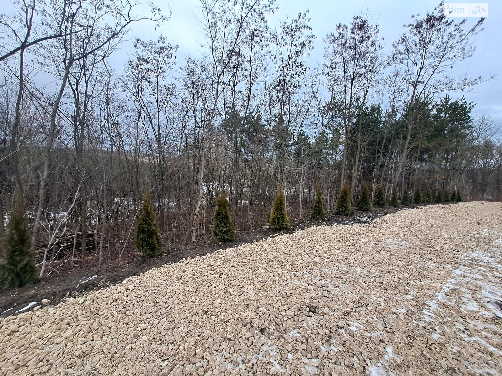 одноповерховий будинок з опаленням, 105 кв. м, цегла. Продаж у Байківці фото 1 одноповерховий будинок з опаленням, 105 кв. м, цегла. Продаж у Байківці фото 1