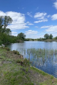 одноповерховий будинок, 62.7 кв. м, шлакоблок. Продаж у Бечалі фото 2 одноповерховий будинок, 62.7 кв. м, шлакоблок. Продаж у Бечалі фото 2