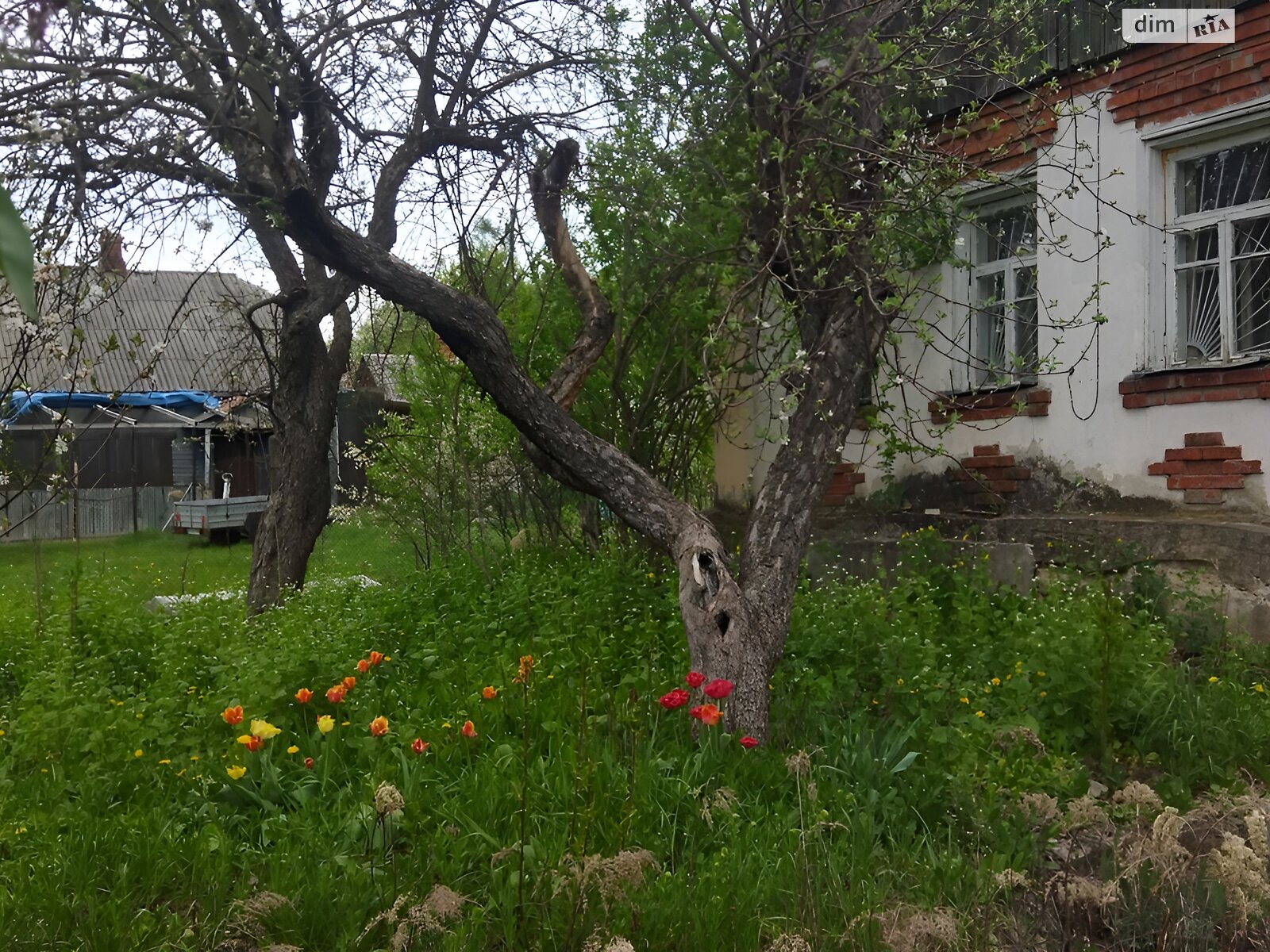 одноповерховий будинок з верандою, 60 кв. м, цегла. Продаж у Бідряги фото 1 одноповерховий будинок з верандою, 60 кв. м, цегла. Продаж у Бідряги фото 1