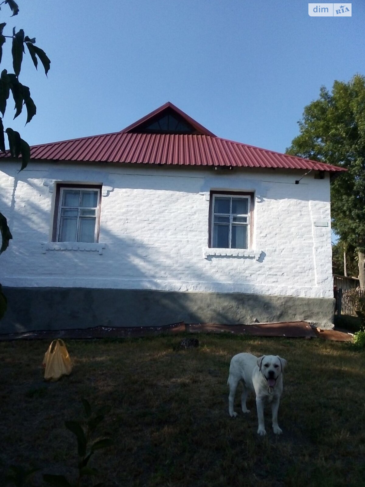 одноэтажный дом, 56.6 кв. м, кирпич. Продажа в Белой Церкви фото 1 одноэтажный дом, 56.6 кв. м, кирпич. Продажа в Белой Церкви фото 1