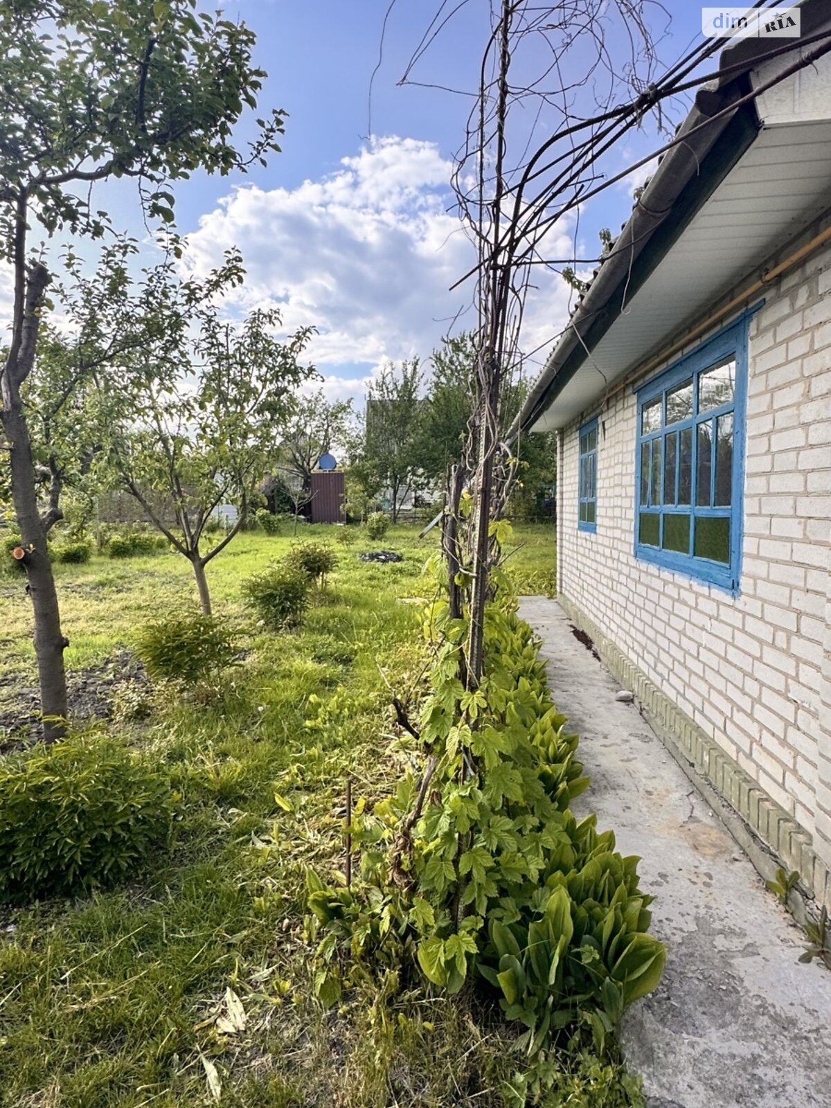двоповерховий будинок з верандою, 52.5 кв. м, цегла. Продаж в Білій Церкві, район Гайок фото 1 двоповерховий будинок з верандою, 52.5 кв. м, цегла. Продаж в Білій Церкві, район Гайок фото 1