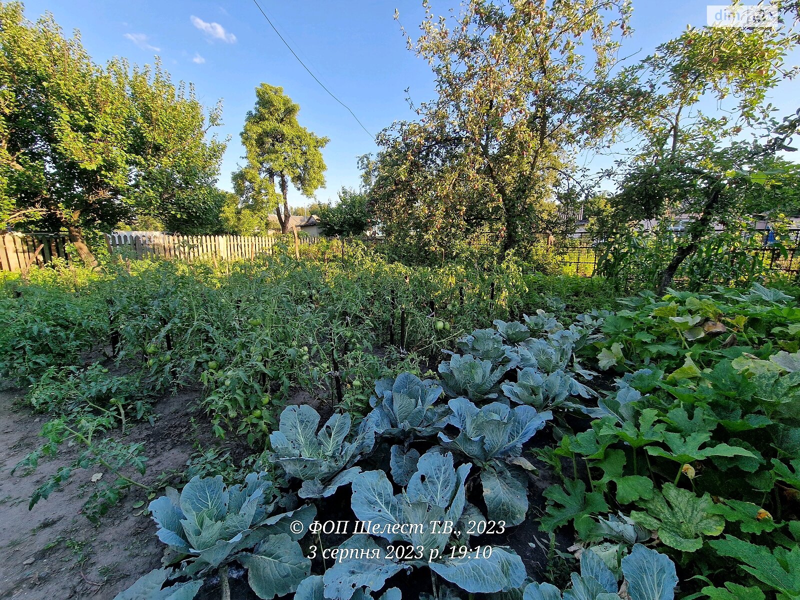 двухэтажный дом с верандой, 254.5 кв. м, ракушечник (ракушняк). Продажа в Белой Церкви район Ж-д посёлок фото 1