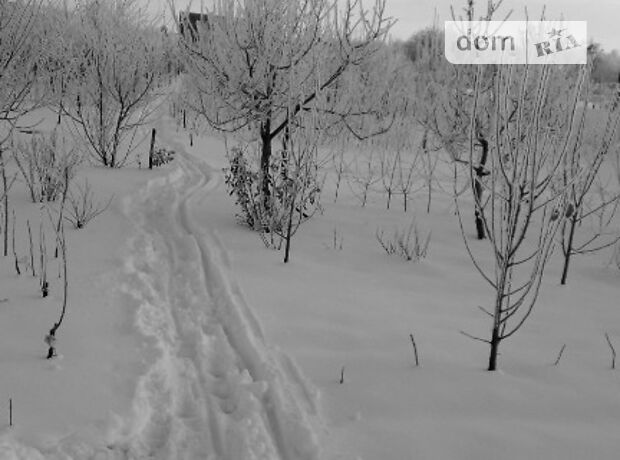 одноповерховий будинок з садом, 110 кв. м, цегла. Продаж в Піщаній (Київська обл.) фото 1 одноповерховий будинок з садом, 110 кв. м, цегла. Продаж в Піщаній (Київська обл.) фото 1