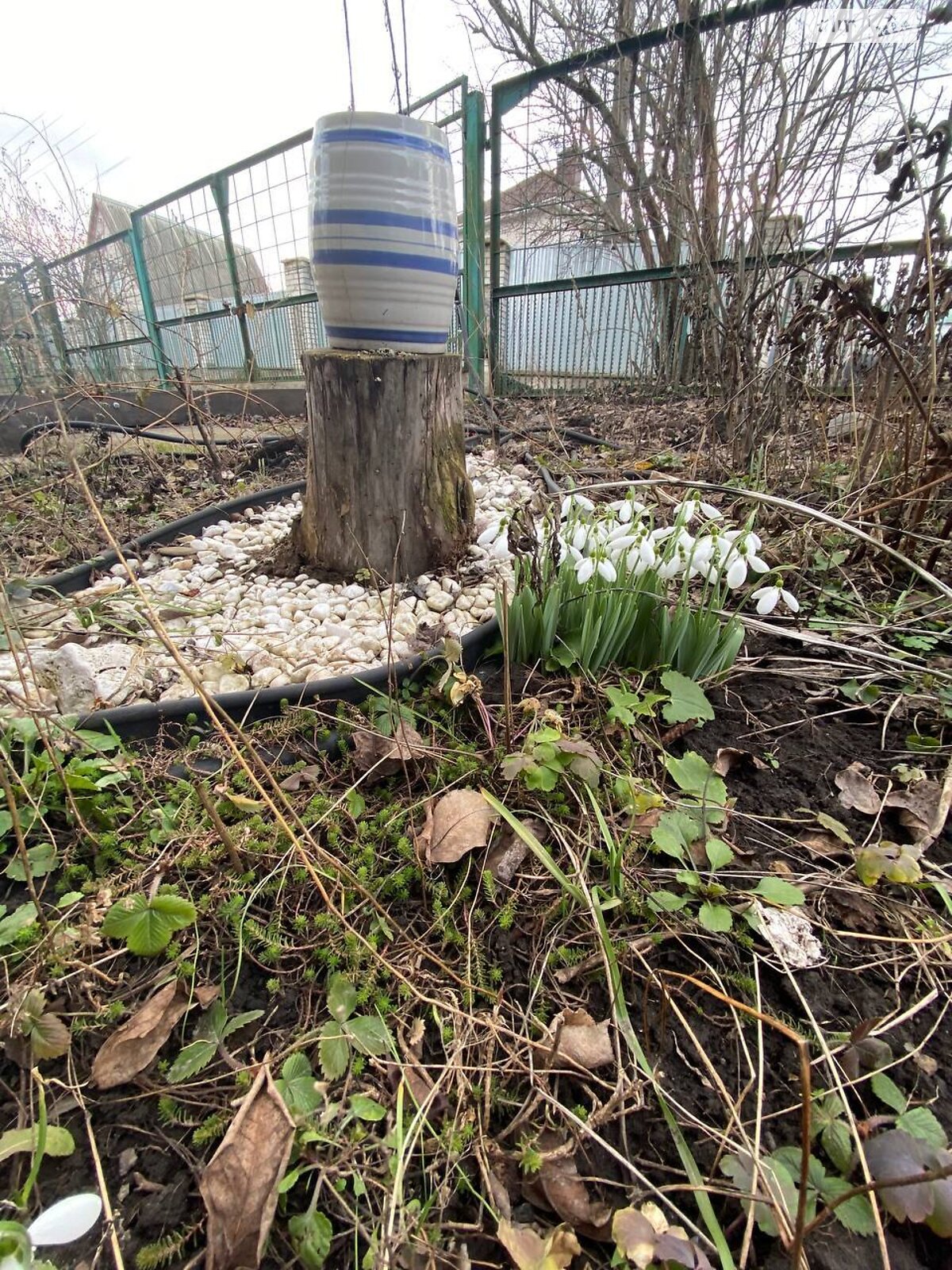 двоповерховий будинок, 39 кв. м, цегла. Продаж в Білій Церкві, район Сухий Яр фото 1