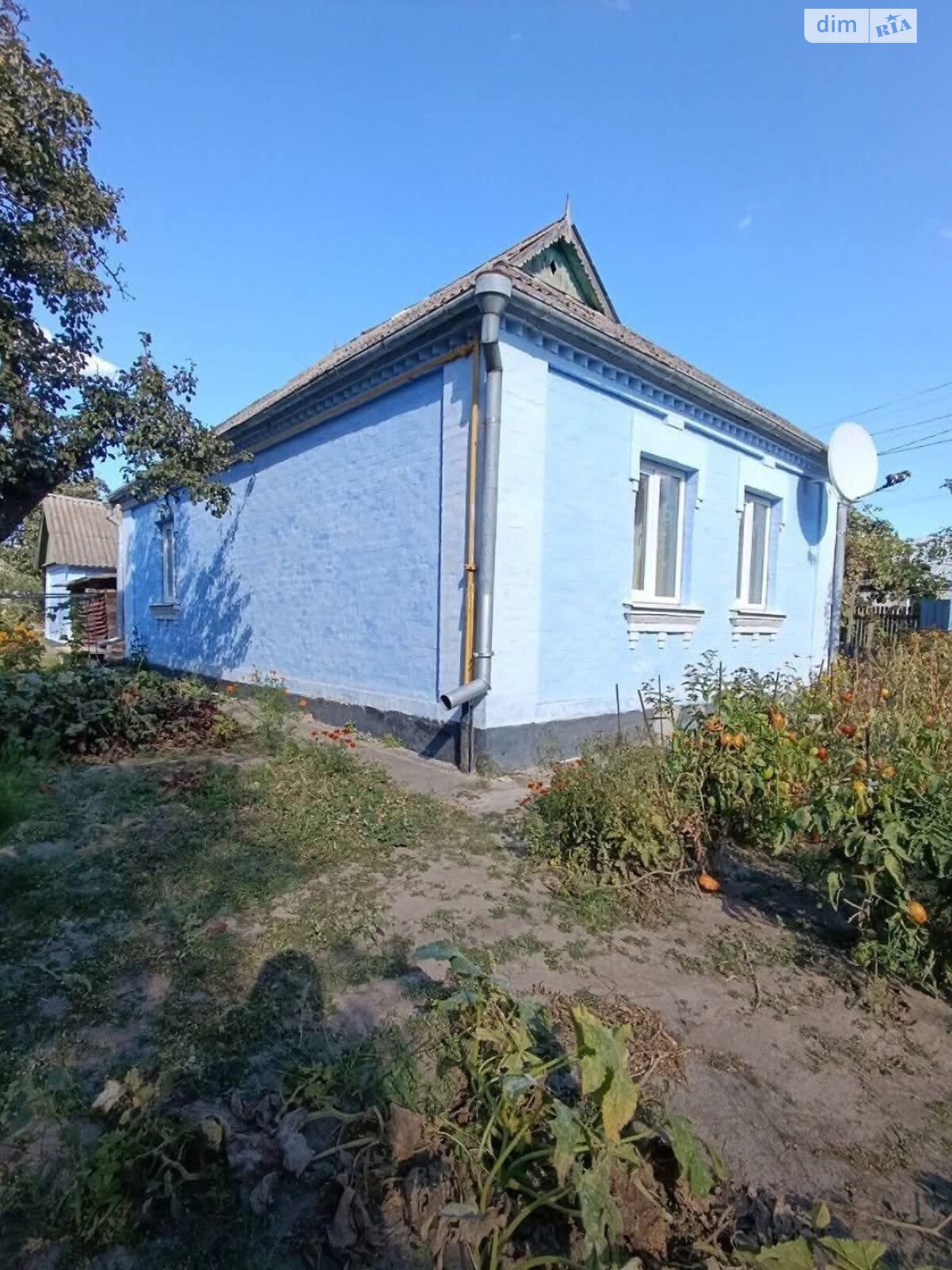 одноповерховий будинок з верандою, 52.2 кв. м, цегла. Продаж в Білій Церкві, район Заріччя фото 1 одноповерховий будинок з верандою, 52.2 кв. м, цегла. Продаж в Білій Церкві, район Заріччя фото 1