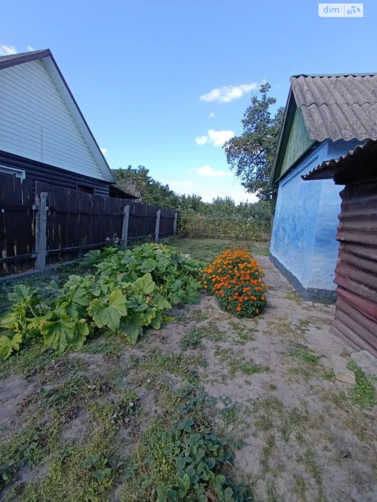 одноповерховий будинок з верандою, 52.2 кв. м, цегла. Продаж в Білій Церкві, район Заріччя фото 1 одноповерховий будинок з верандою, 52.2 кв. м, цегла. Продаж в Білій Церкві, район Заріччя фото 1