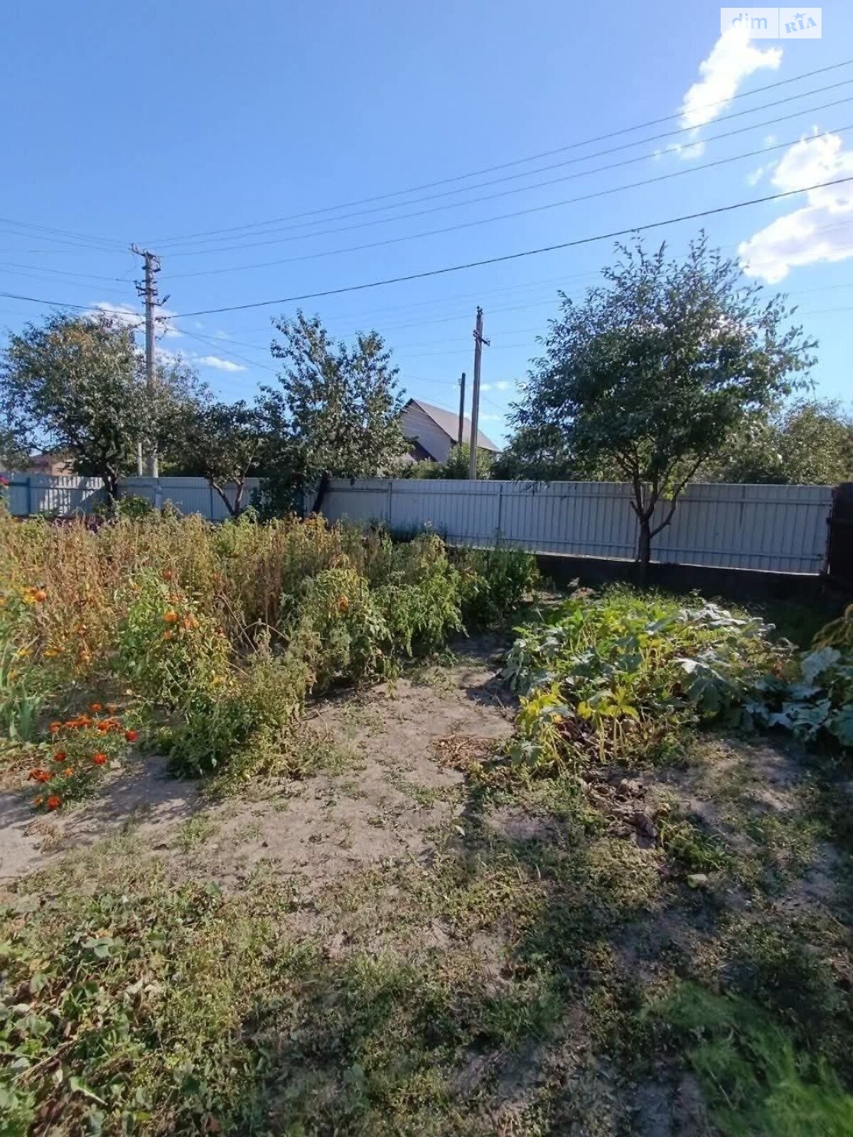 одноповерховий будинок з верандою, 52.2 кв. м, цегла. Продаж в Білій Церкві, район Заріччя фото 1 одноповерховий будинок з верандою, 52.2 кв. м, цегла. Продаж в Білій Церкві, район Заріччя фото 1