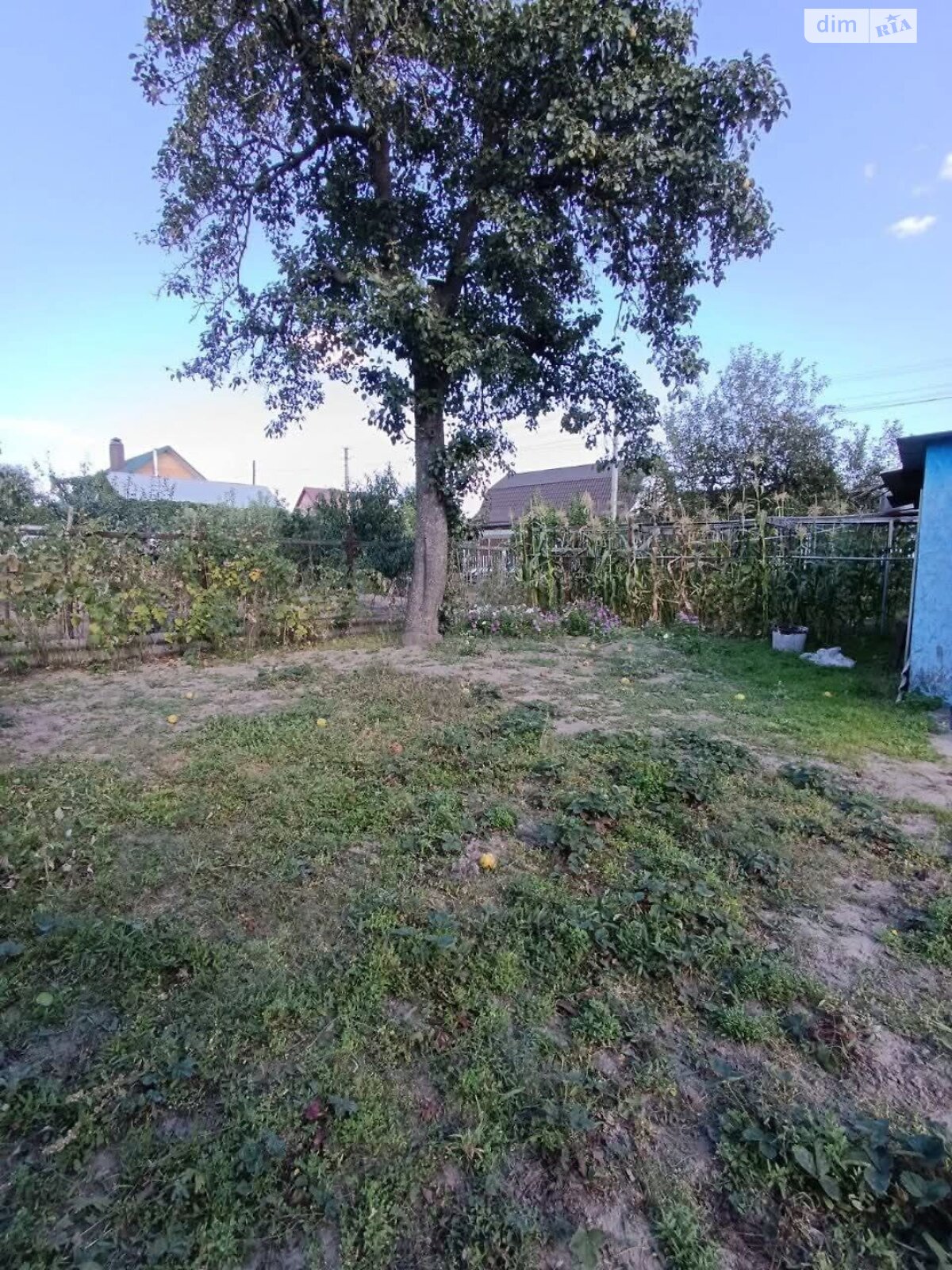 одноповерховий будинок з верандою, 52.2 кв. м, цегла. Продаж в Білій Церкві, район Заріччя фото 1 одноповерховий будинок з верандою, 52.2 кв. м, цегла. Продаж в Білій Церкві, район Заріччя фото 1