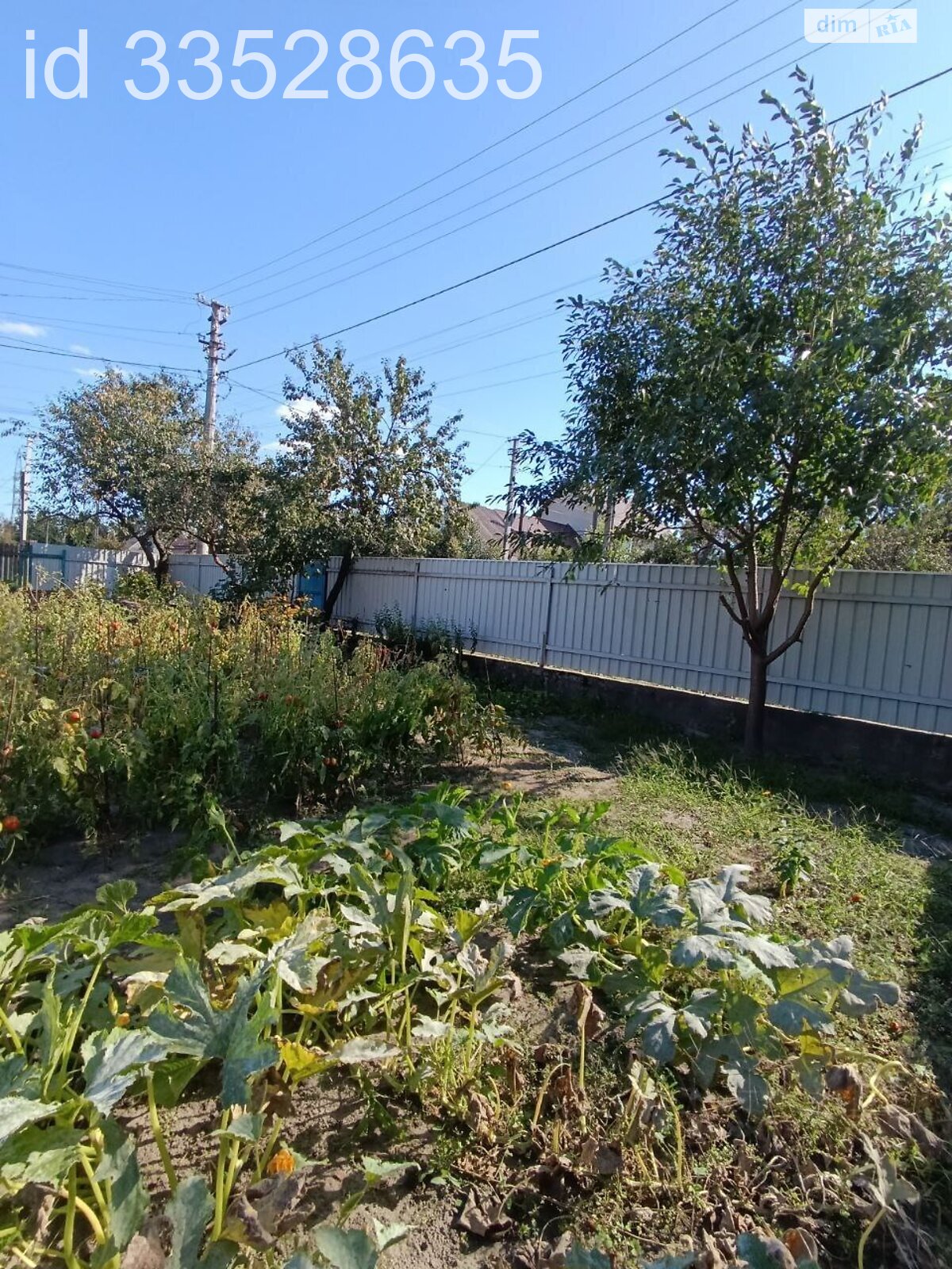 одноэтажный дом с отоплением, 52.2 кв. м, кирпич. Продажа в Белой Церкви район Заречье фото 1