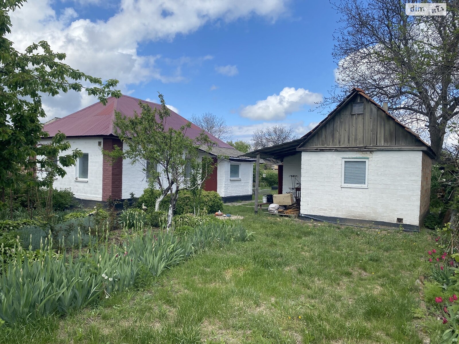 одноэтажный дом, 36.9 кв. м, кирпич. Продажа в Белецковке фото 1 одноэтажный дом, 36.9 кв. м, кирпич. Продажа в Белецковке фото 1