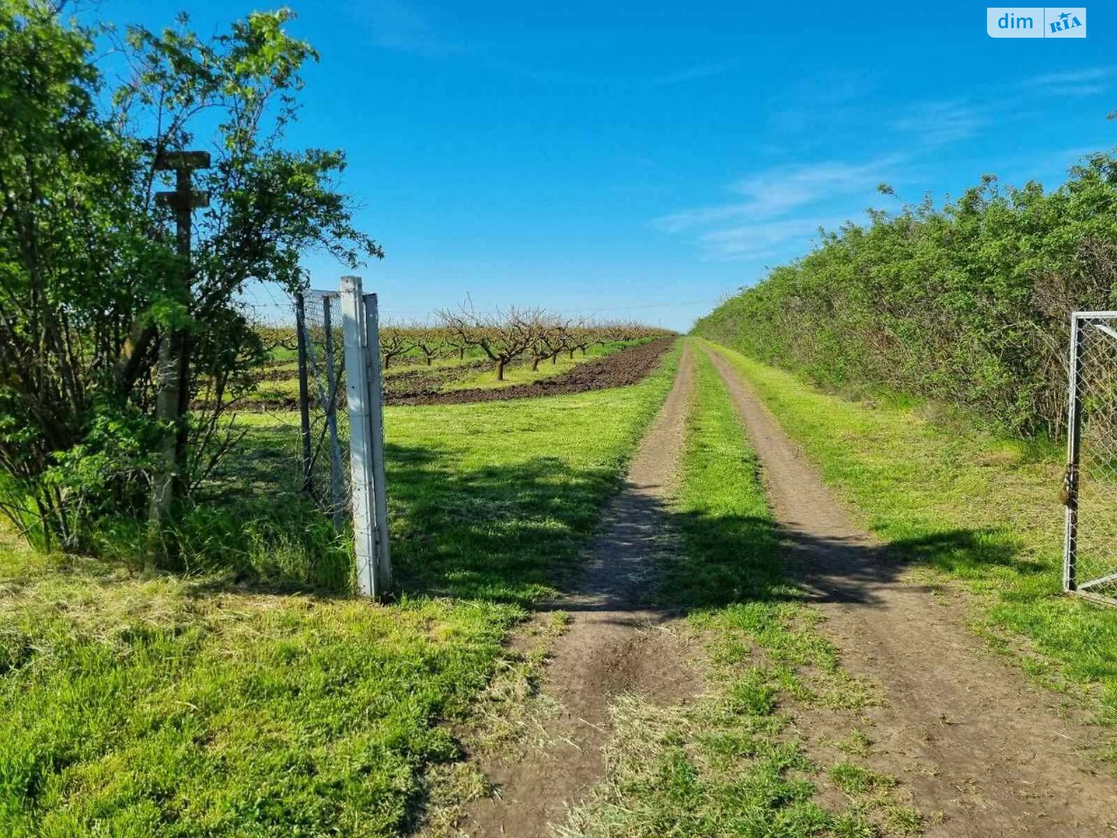 двухэтажный дом, 220 кв. м, кирпич. Продажа в Белгороде-Днестровском район Белгород-Днестровский фото 1