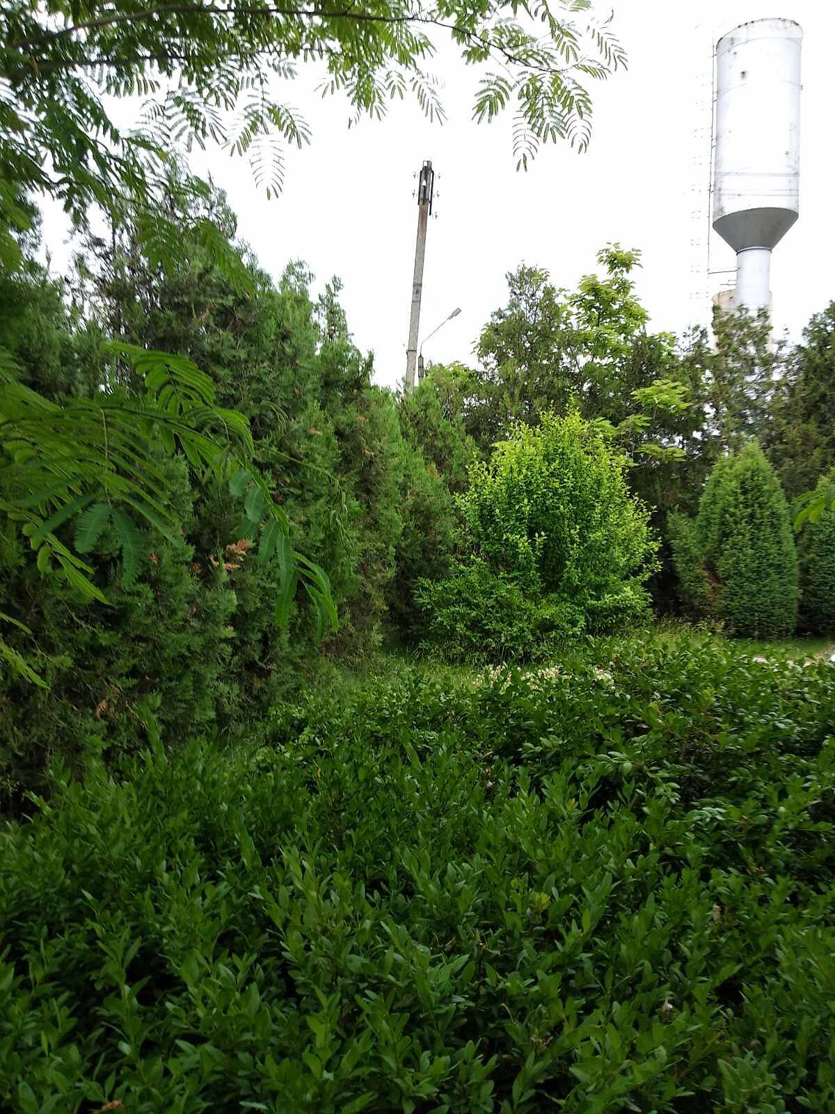 одноповерховий будинок, 126 кв. м, кирпич. Продаж у Курортному фото 1 одноповерховий будинок, 126 кв. м, кирпич. Продаж у Курортному фото 1