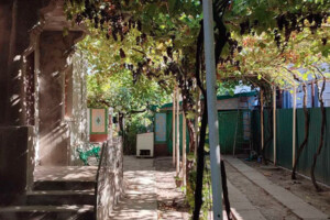 одноповерховий будинок, 65.38 кв. м, цегла. Продаж у Білгороді-Днестровському фото 2