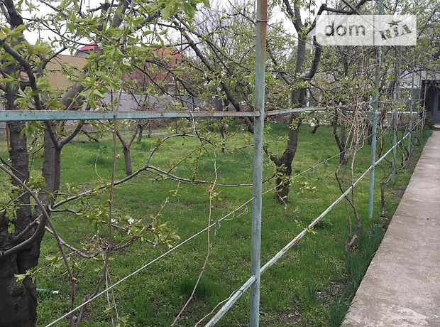двухэтажный дом с садом, 210 кв. м, кирпич силикатный. Продажа в Мологе (Одесская обл.) фото 1 двухэтажный дом с садом, 210 кв. м, кирпич силикатный. Продажа в Мологе (Одесская обл.) фото 1