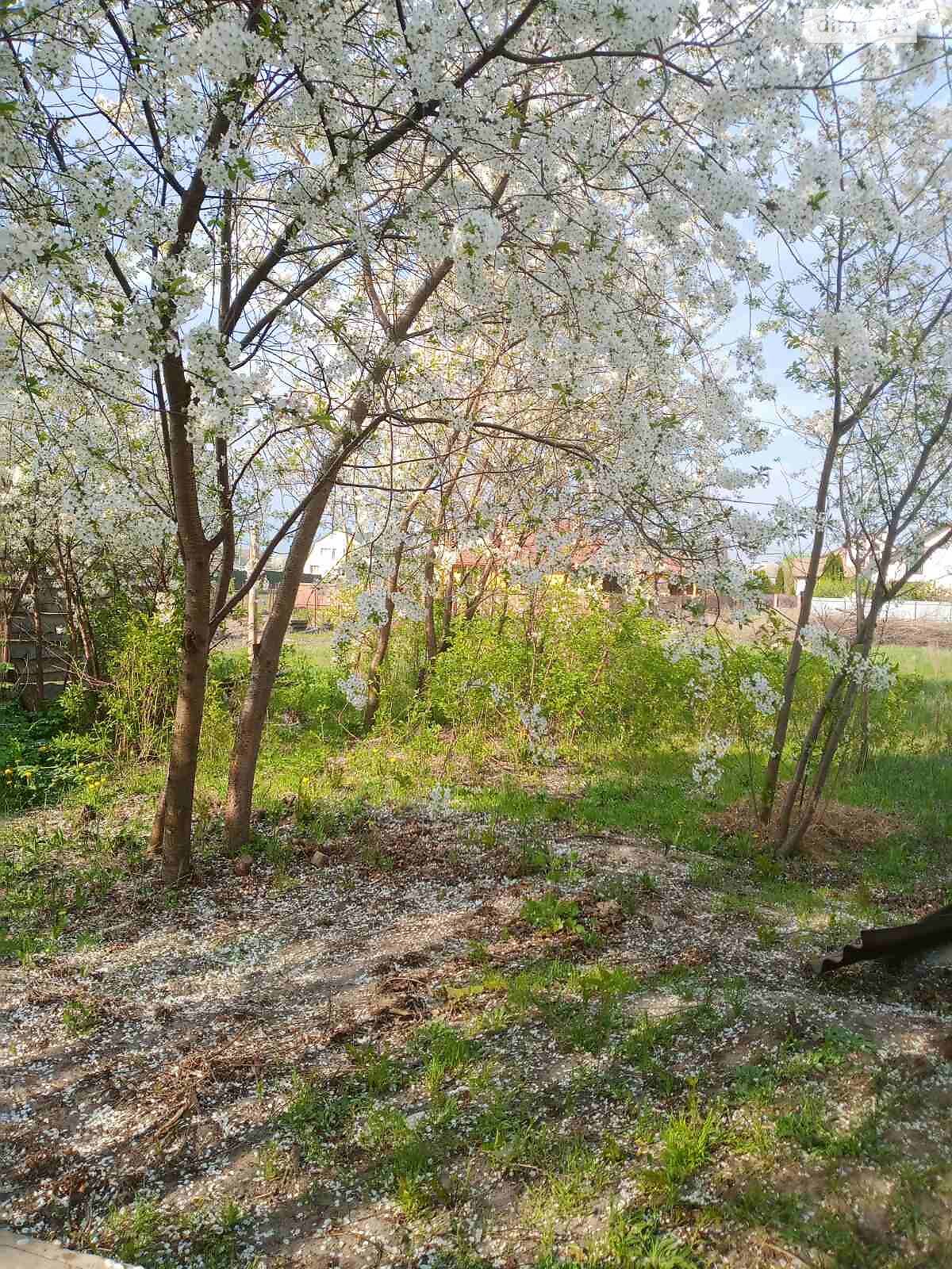 одноповерховий будинок, 115.7 кв. м, цегла. Продаж у Білогородці фото 1